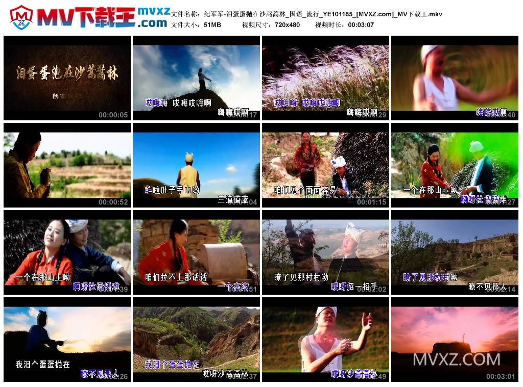 纪军军-泪蛋蛋抛在沙蒿蒿林_国语_流行_YE101185